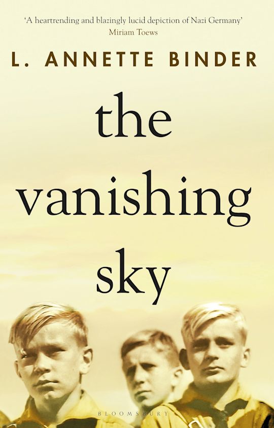 The Vanishing Sky cover