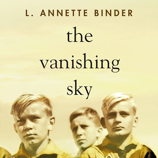 The Vanishing Sky cover
