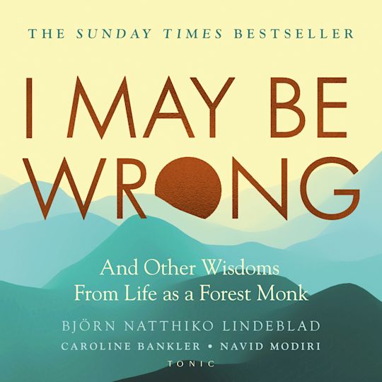 I May Be Wrong cover