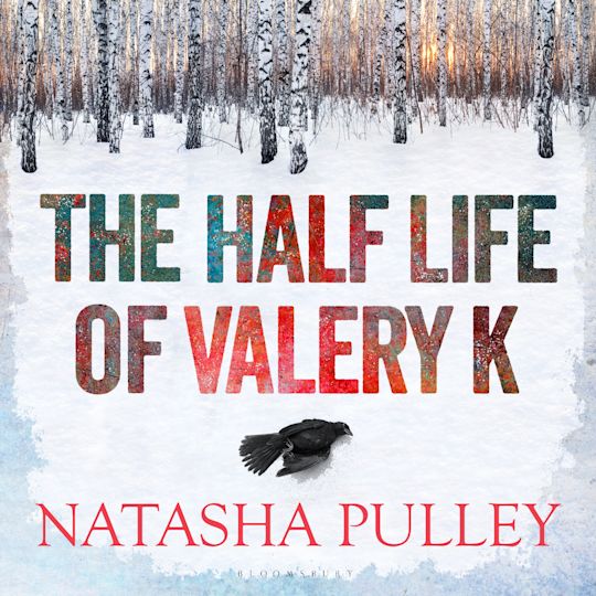 The Half Life of Valery K cover