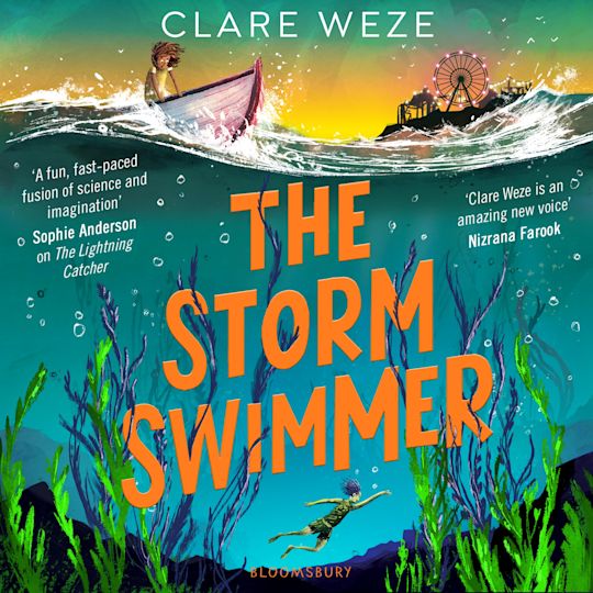 The Storm Swimmer cover