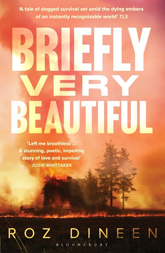 Briefly Very Beautiful cover