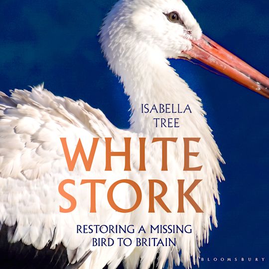 White Stork cover
