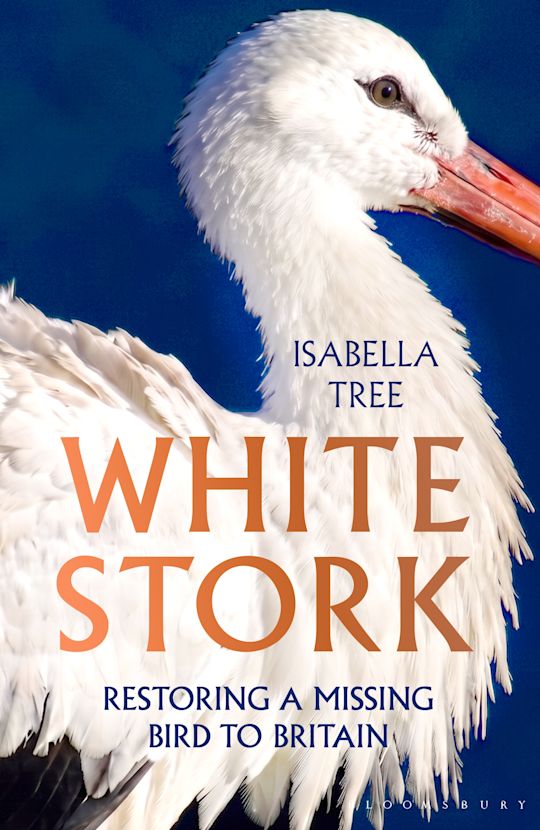White Stork cover