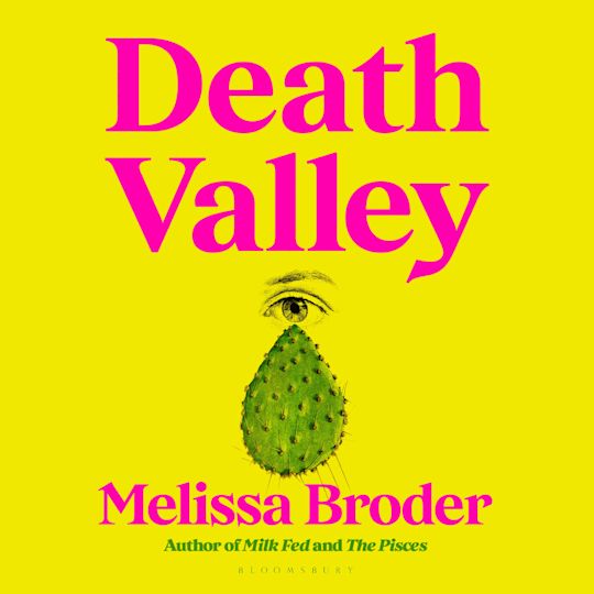 Death Valley cover