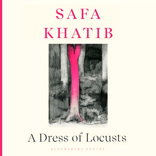 A Dress of Locusts cover