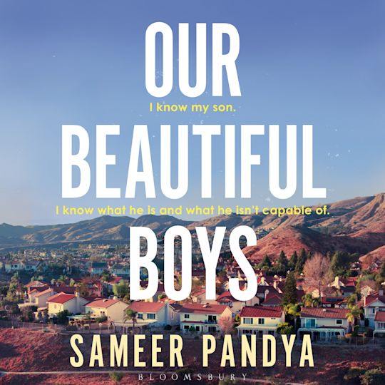 Our Beautiful Boys cover