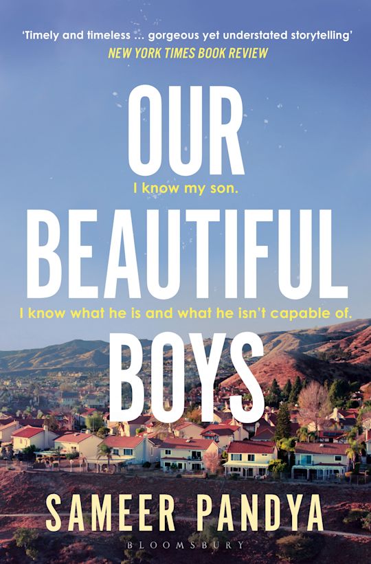 Our Beautiful Boys cover
