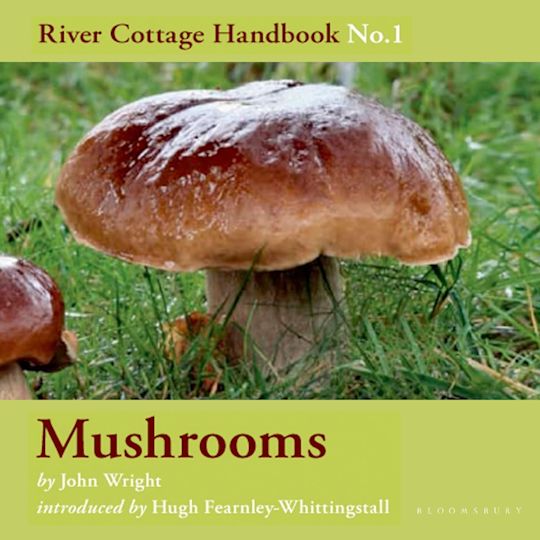 Mushrooms cover