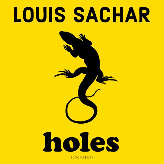 Holes cover