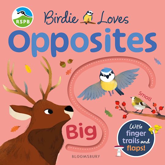 RSPB Birdie Loves Opposites cover