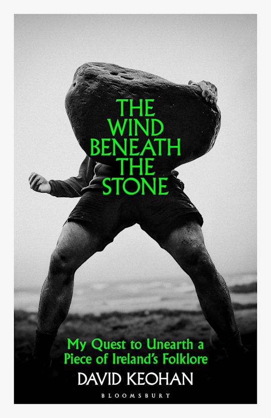The Wind Beneath the Stone cover