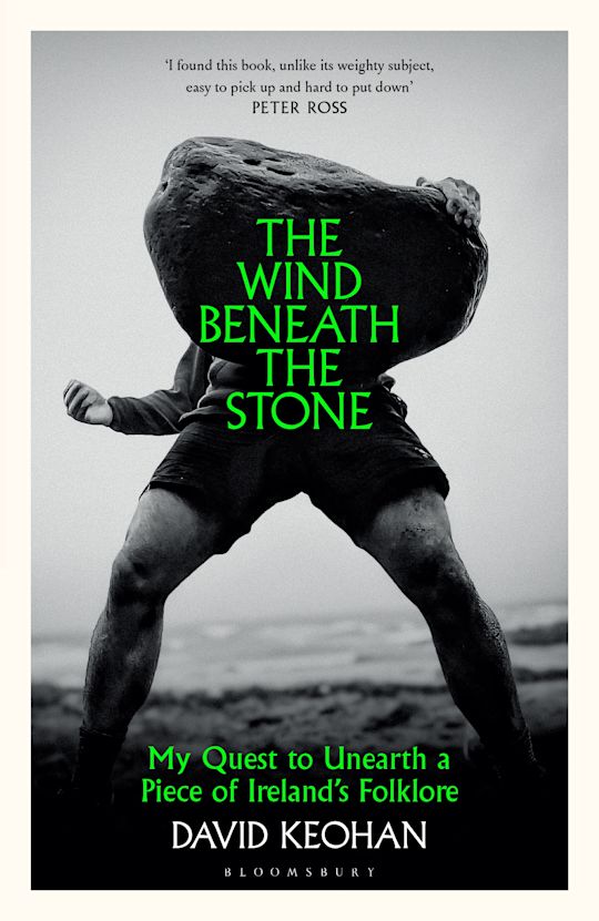 The Wind Beneath the Stone cover