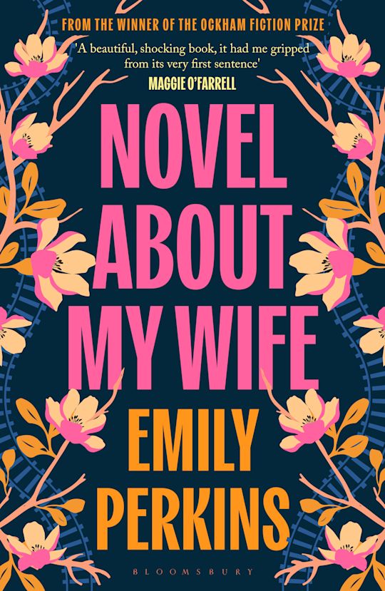 Novel About My Wife cover
