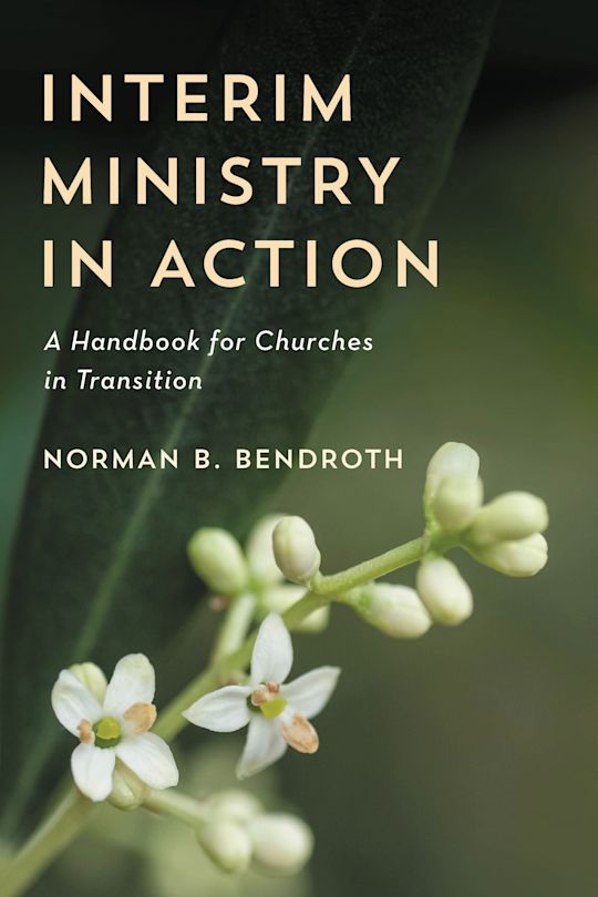 Interim Ministry in Action cover