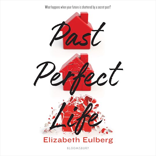 Past Perfect Life cover