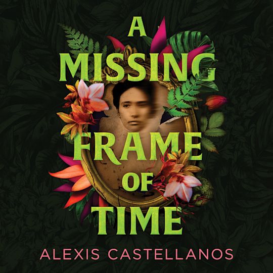 A Missing Frame of Time cover