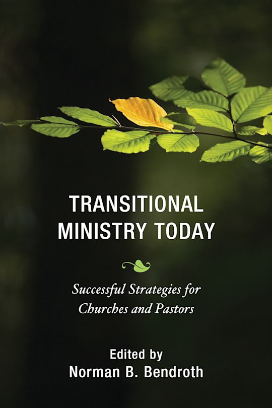 Transitional Ministry Today cover