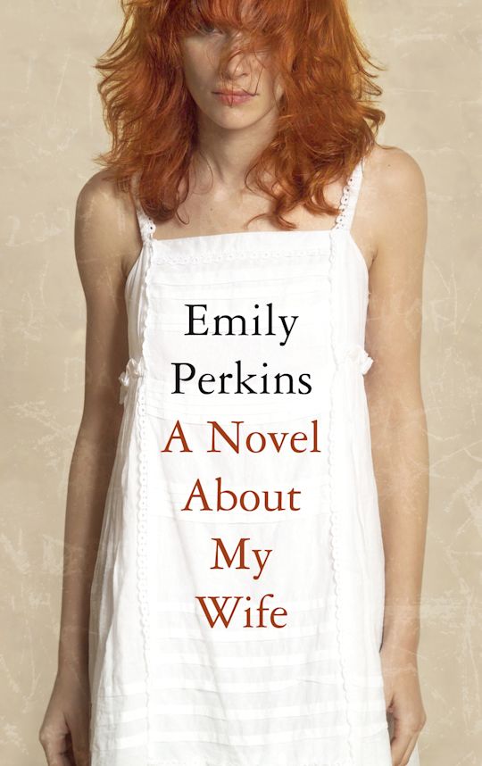 Novel About My Wife cover