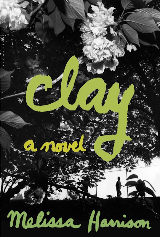 Clay cover