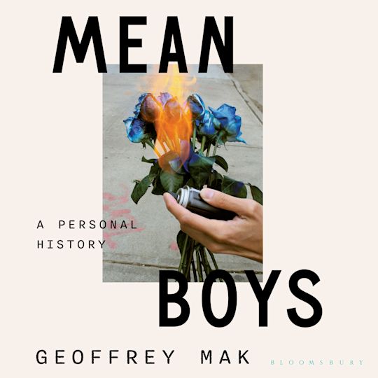 Mean Boys cover