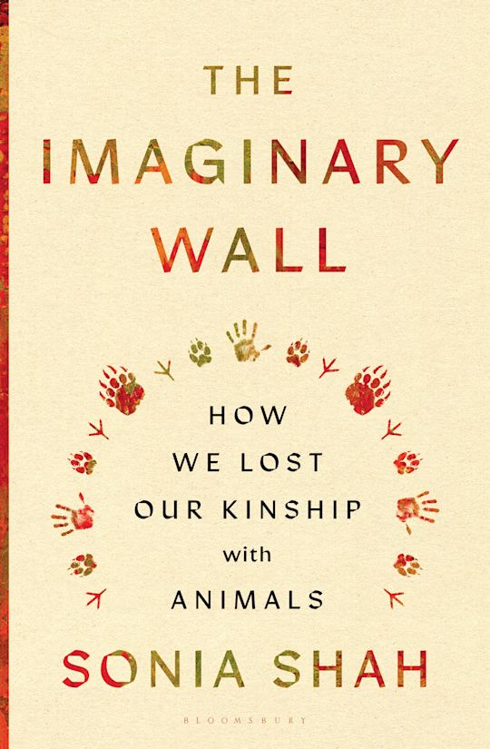 The Imaginary Wall cover
