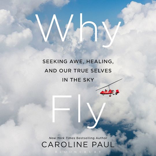 Why Fly cover