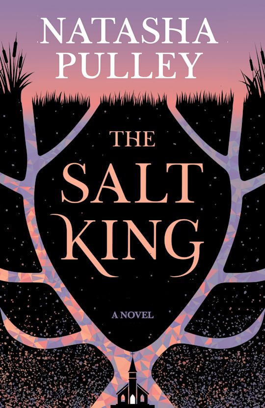 The Salt King cover