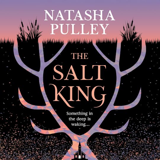 The Salt King cover