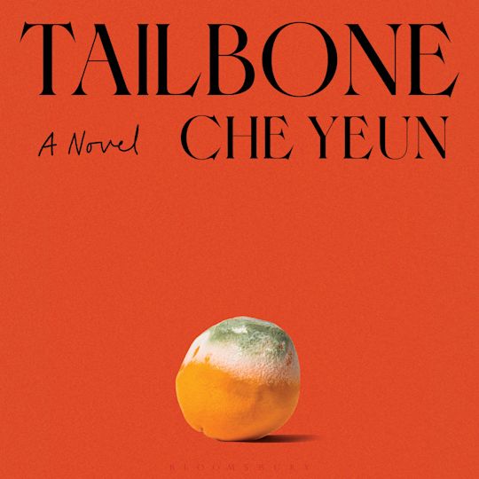 Tailbone cover