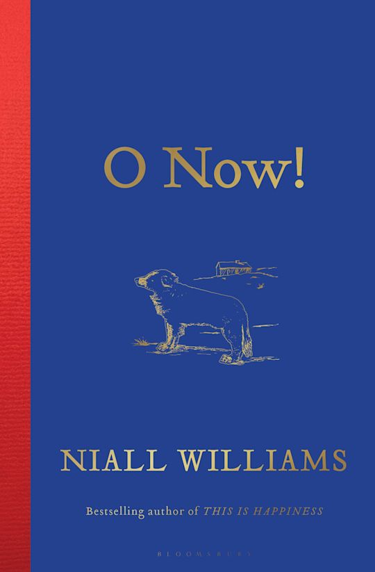 O Now! cover