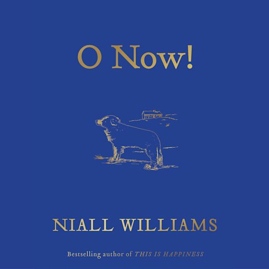 O Now! cover