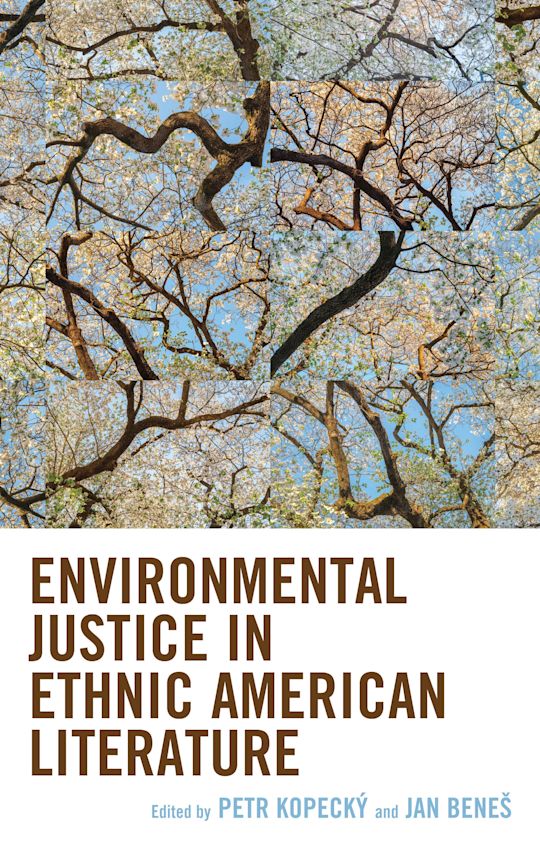 Environmental Justice in Ethnic American Literature cover
