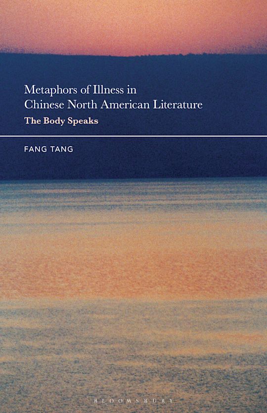 Metaphors of Illness in Chinese North American Literature cover