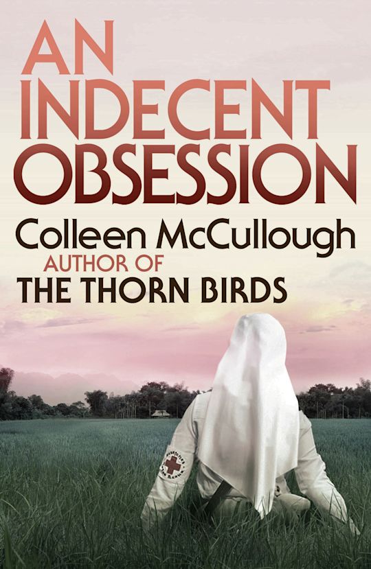 An Indecent Obsession cover