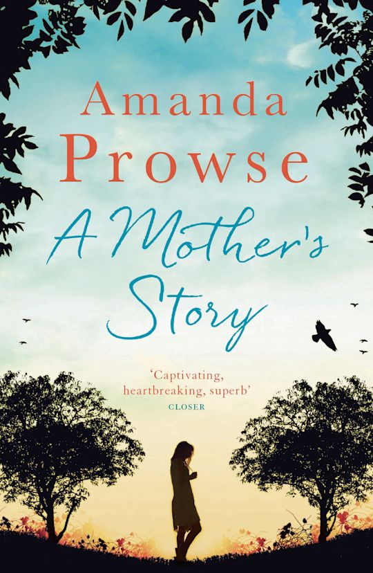 A Mother's Story cover