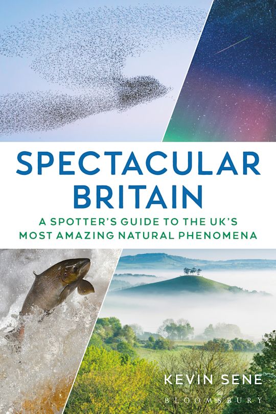 Spectacular Britain cover