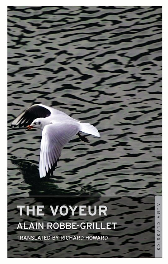 The Voyeur cover