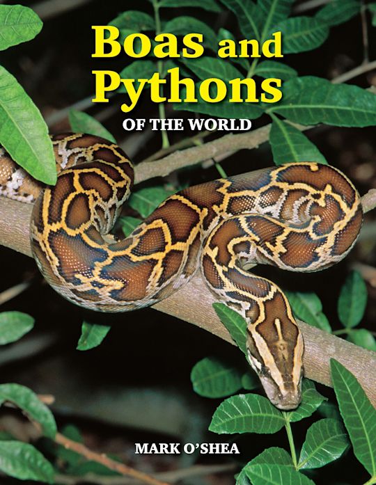 Boas and Pythons of the World cover