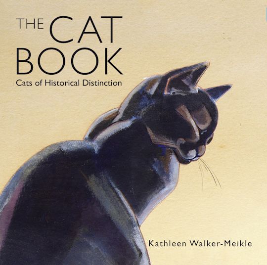 The Cat Book cover