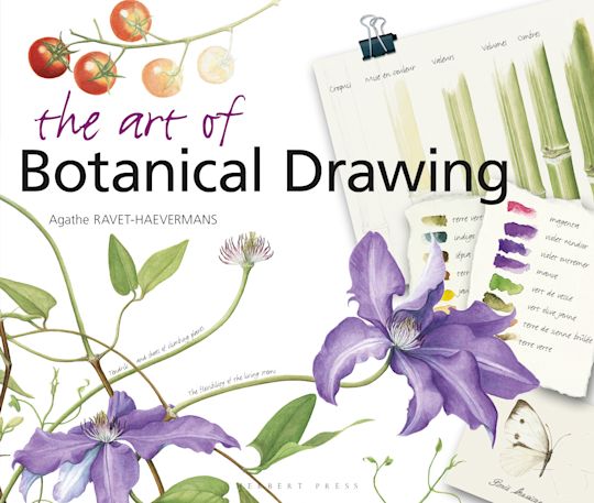 The Art of Botanical Drawing cover
