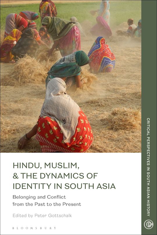 Hindu, Muslim, & the Dynamics of Identity in South Asia cover