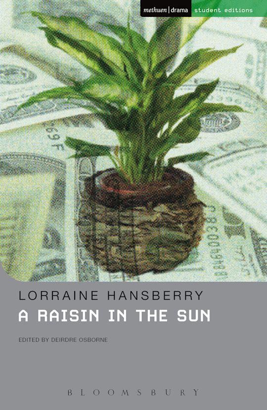 A Raisin In The Sun cover