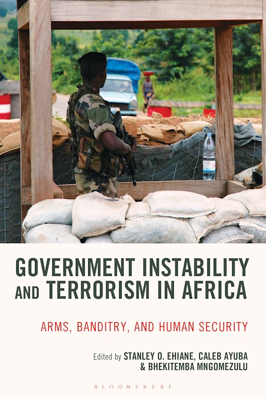 Government Instability and Terrorism in Africa cover