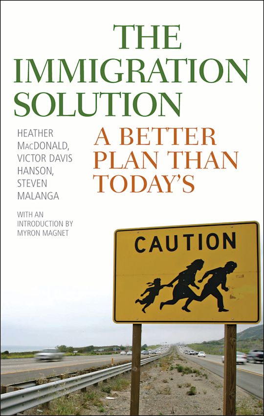 The Immigration Solution cover