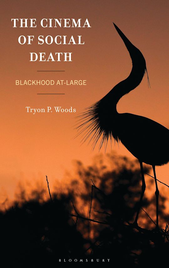 The Cinema of Social Death cover