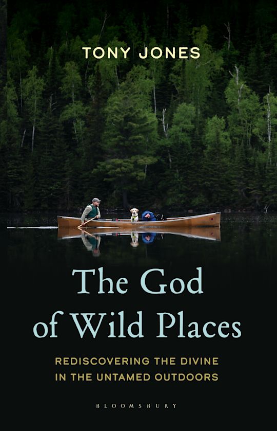 The God of Wild Places cover