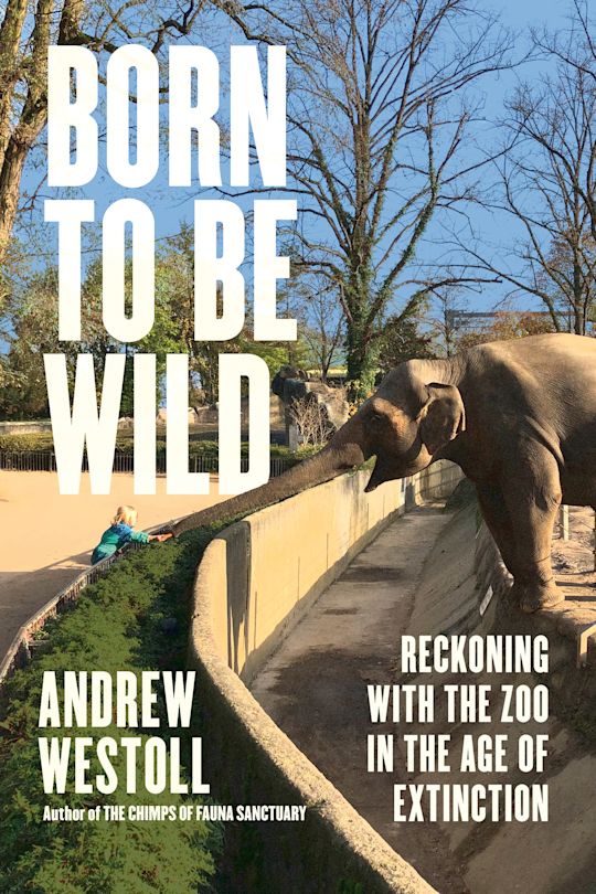 Born to Be Wild cover