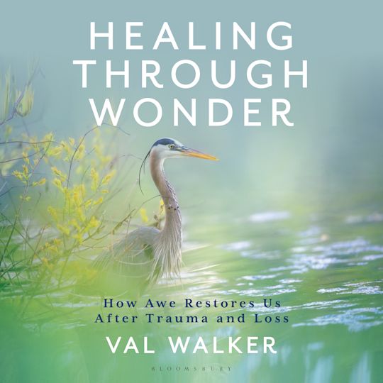 Healing Through Wonder cover