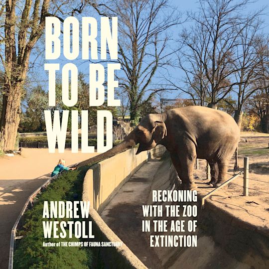 Born to Be Wild cover